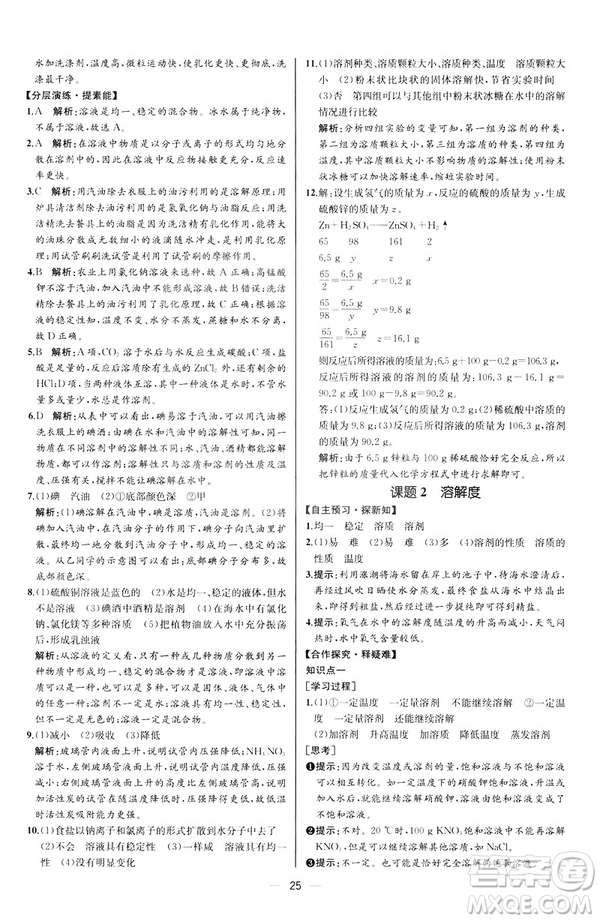 2019人教版初中九年級(jí)下冊(cè)化學(xué)課時(shí)練同步學(xué)歷案河北專(zhuān)版答案