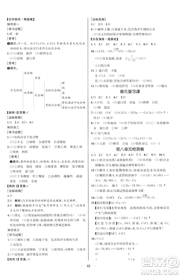 2019人教版初中九年級(jí)下冊(cè)化學(xué)課時(shí)練同步學(xué)歷案河北專(zhuān)版答案