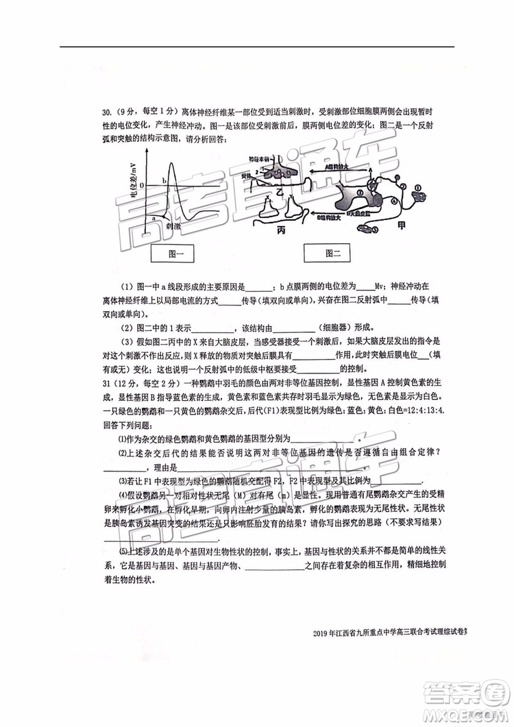 2019年江西省九校3月聯(lián)考文綜理綜試題及參考答案