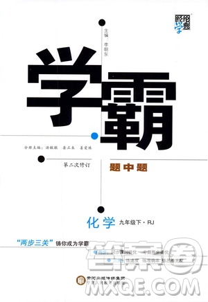 2019版經(jīng)綸學(xué)典學(xué)霸題中題九年級化學(xué)下冊人教RJ版參考答案