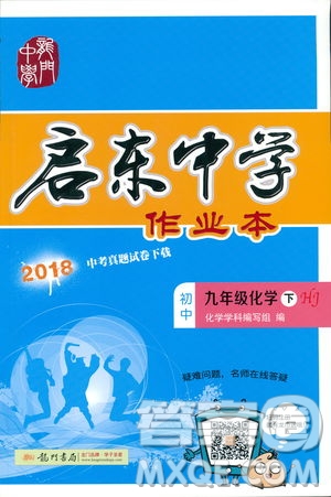 2019春正版啟東中學(xué)作業(yè)本九年級(jí)化學(xué)下HJ滬教版答案