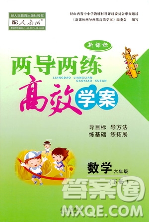 2019年六年級下冊人教版數(shù)學(xué)新課標(biāo)兩導(dǎo)兩練高效學(xué)案參考答案