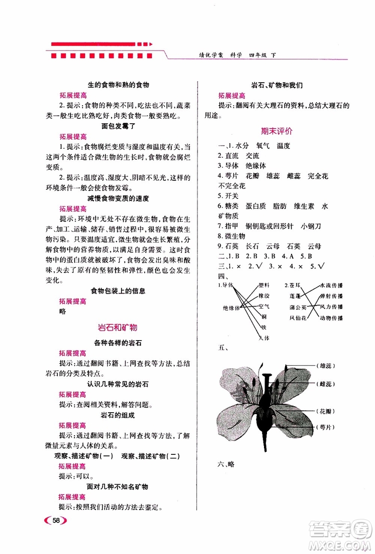 2019年績優(yōu)學(xué)案科學(xué)四年級下教科版參考答案