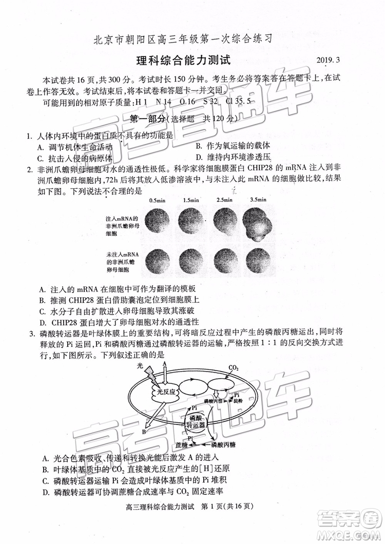 2019年北京朝陽區(qū)一模理科綜合試題及參考答案