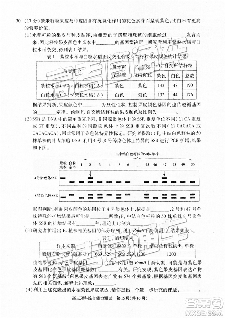 2019年北京朝陽區(qū)一模理科綜合試題及參考答案