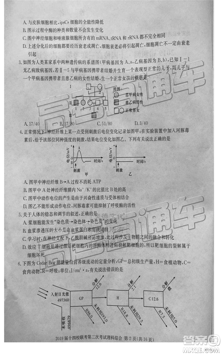 2019年湘贛十四校第二次聯(lián)考理科綜合試題及參考答案