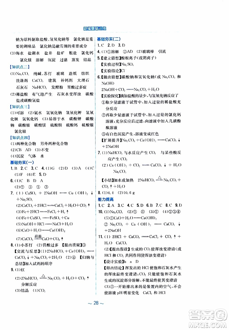 2019春新編基礎(chǔ)訓(xùn)練九年級化學(xué)下冊人教版RJ版參考答案