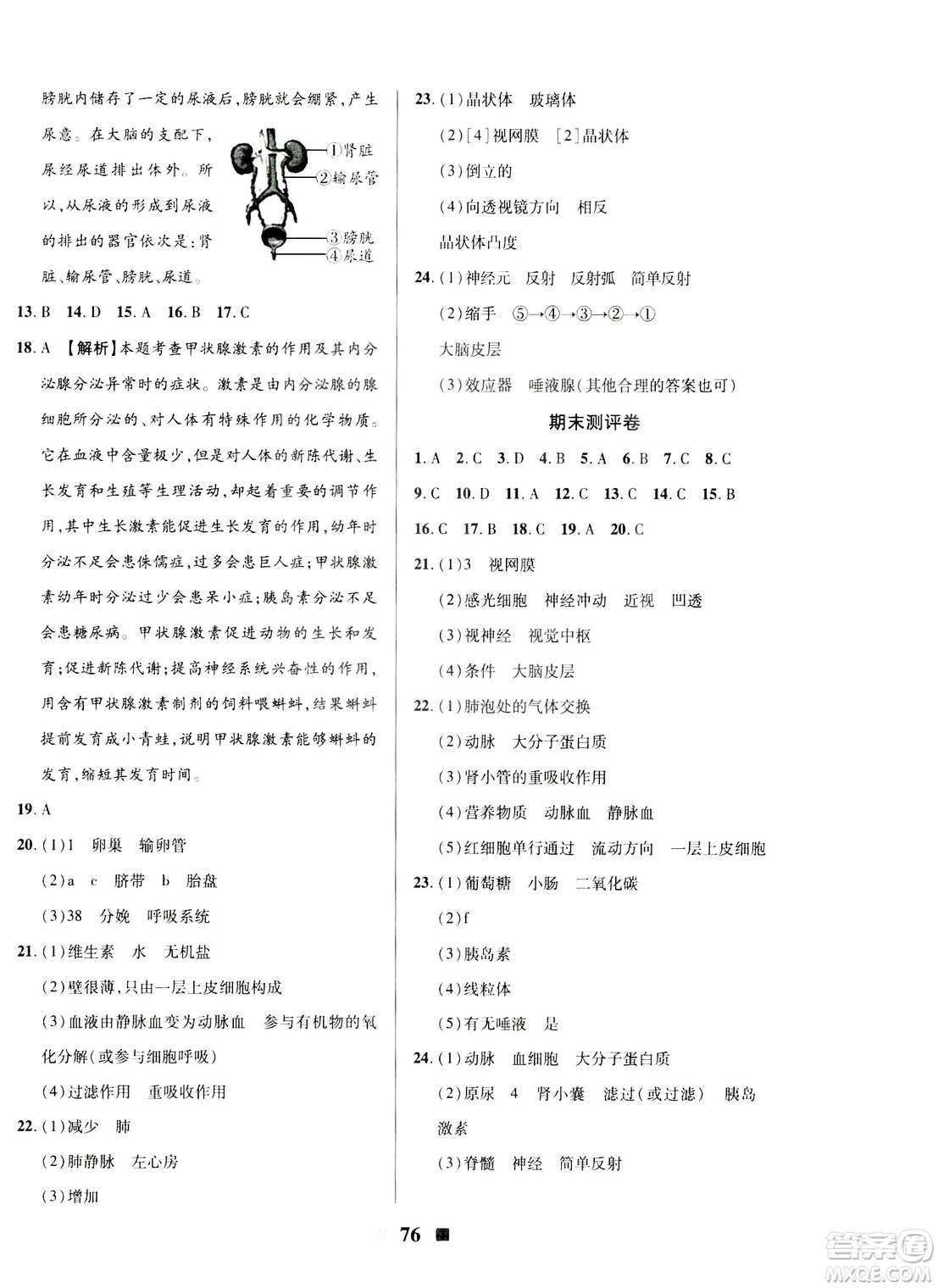 文濤書業(yè)2019年優(yōu)加全能大考卷七年級生物下冊人教版答案