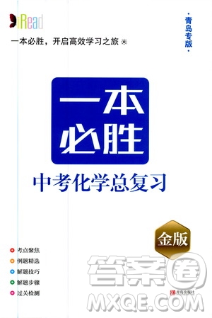 2019新版一本必勝中考化學(xué)金版青島專版參考答案