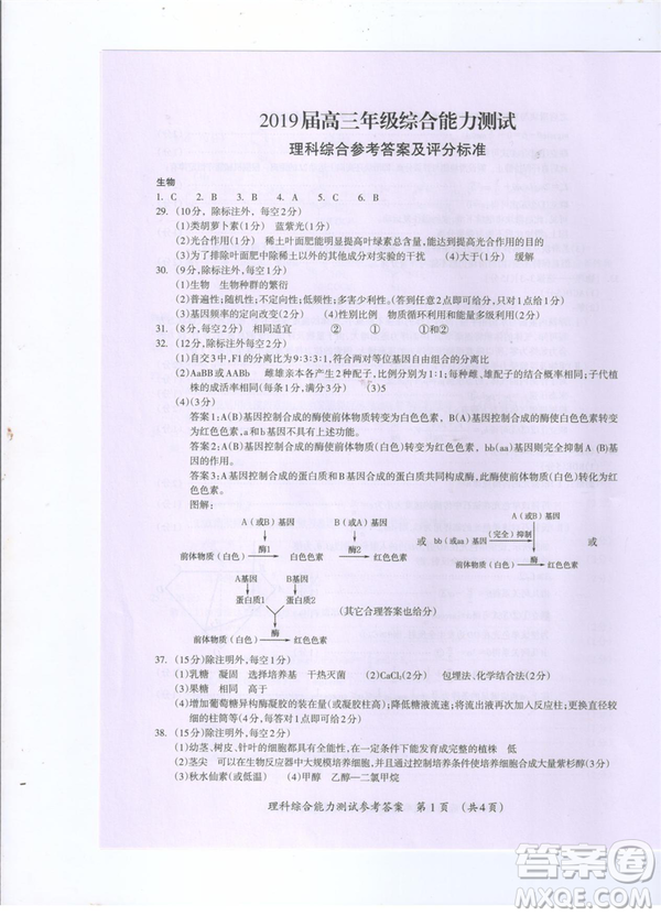 2019年廣西桂林一模文理綜試卷及答案