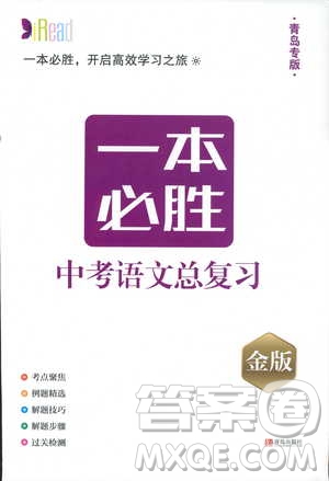 2019年一本必勝中考語文總復(fù)習(xí)金版青島專版參考答案