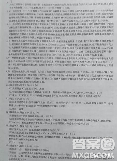 2019年全國高考沖刺壓軸卷三理綜試卷及參考答案