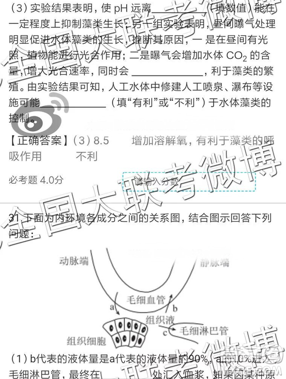 2019年全國(guó)普通高中高三四月大聯(lián)考文理綜參考答案