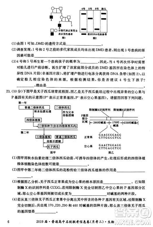 2019年普通高中名校聯(lián)考信息卷月考三試題文理綜答案