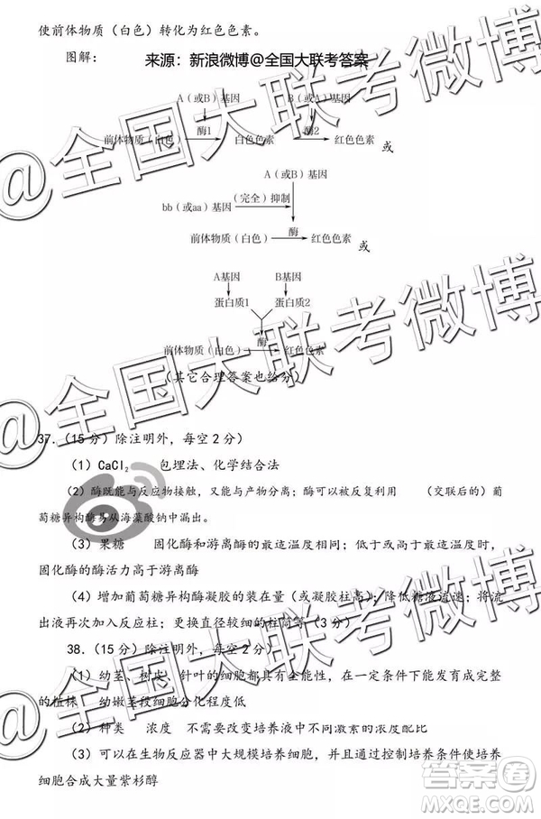 2019年燕博園高三綜合能力測試題CAT三文理綜參考答案