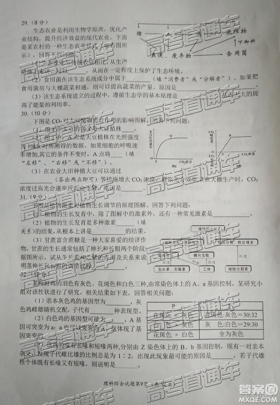 2019年綿陽三診文理綜試題及參考答案