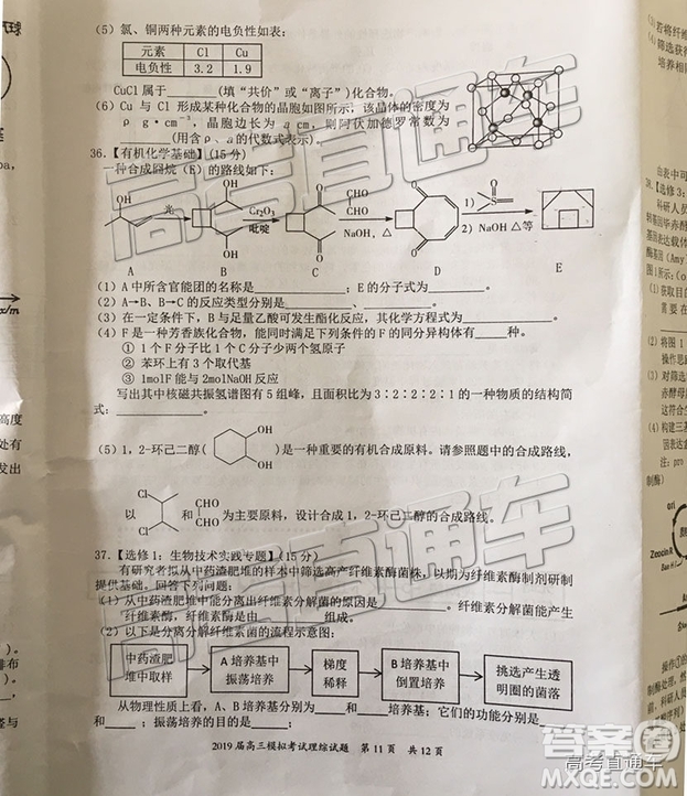 2019年惠州一模理綜試題及參考答案