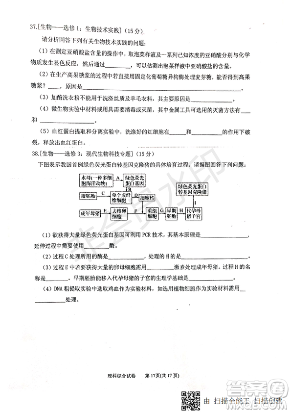 2019年寧夏銀川市高三質(zhì)量檢測(cè)理綜試題及答案