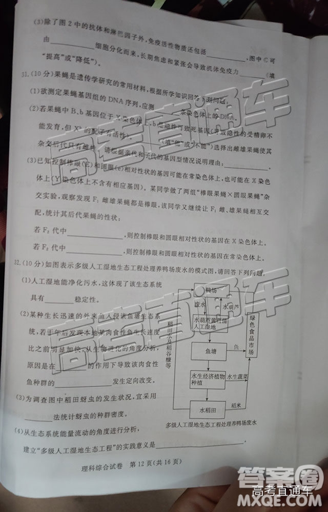 2019年湛江二模文理綜試題及參考答案