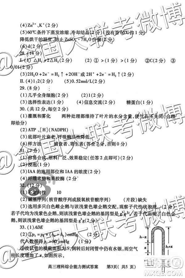 2019年河南省六市高三第二次聯(lián)考文理綜參考答案