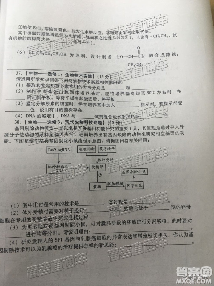 2019年濰坊二模文理綜試題及參考答案