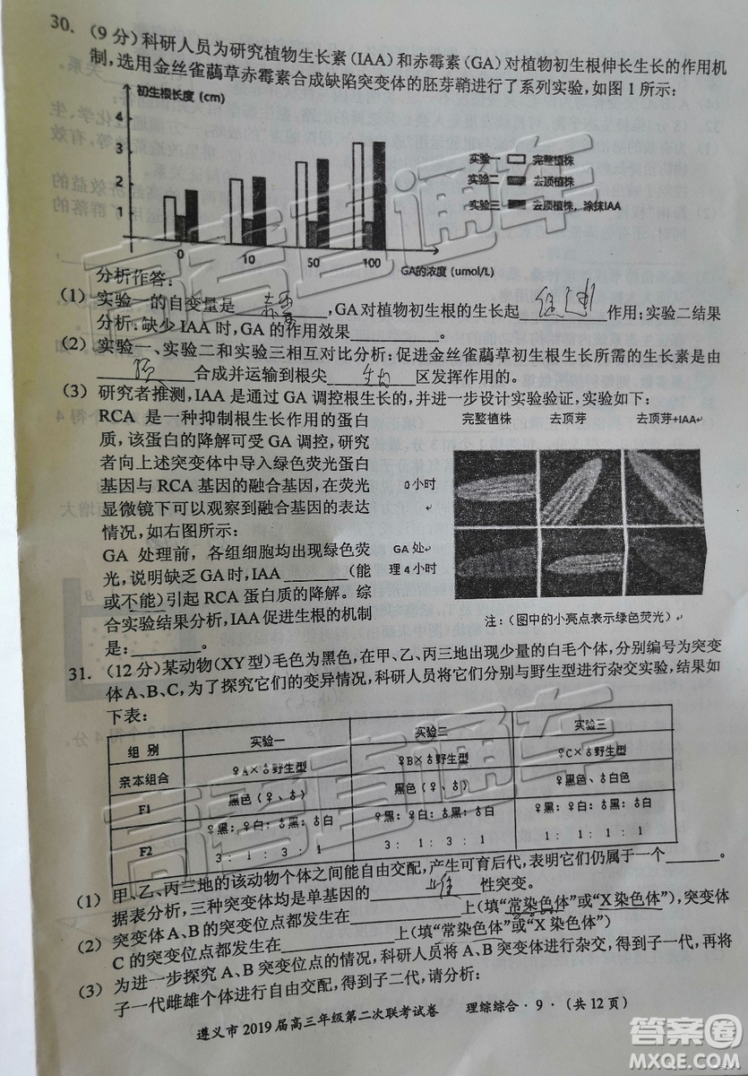 2019年遵義二模文理綜試題及參考答案