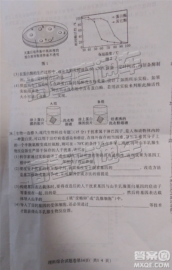 2019年淮北二模文理綜試題及參考答案