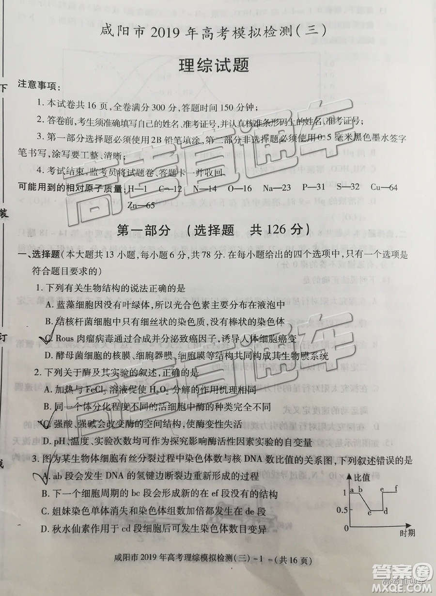 2019年高三咸陽三模文理綜試題及參考答案