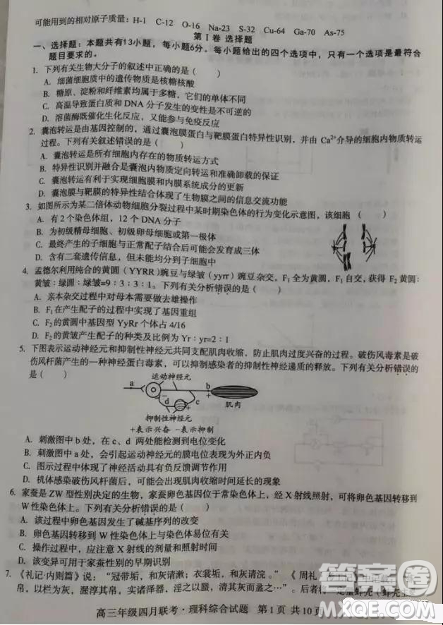 2019屆安徽省毛坦廠中學(xué)高三校區(qū)4月聯(lián)考理綜試題及答案