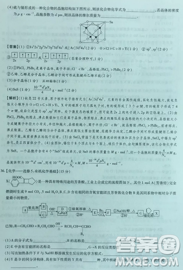 2019年普通高等學(xué)校招生全國(guó)統(tǒng)一考試高考仿真模擬信息卷押題卷十一理綜試題及答案