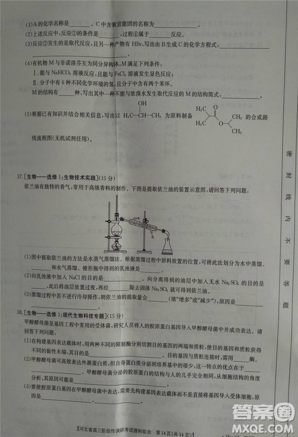 2019年河北省高三階段性調(diào)研考試四月聯(lián)考理綜試題及答案