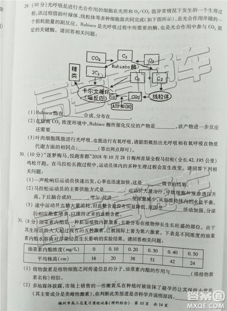 2019梅州二模文理綜試題及參考答案