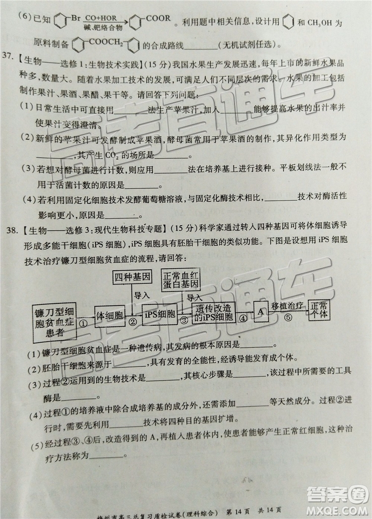 2019梅州二模文理綜試題及參考答案