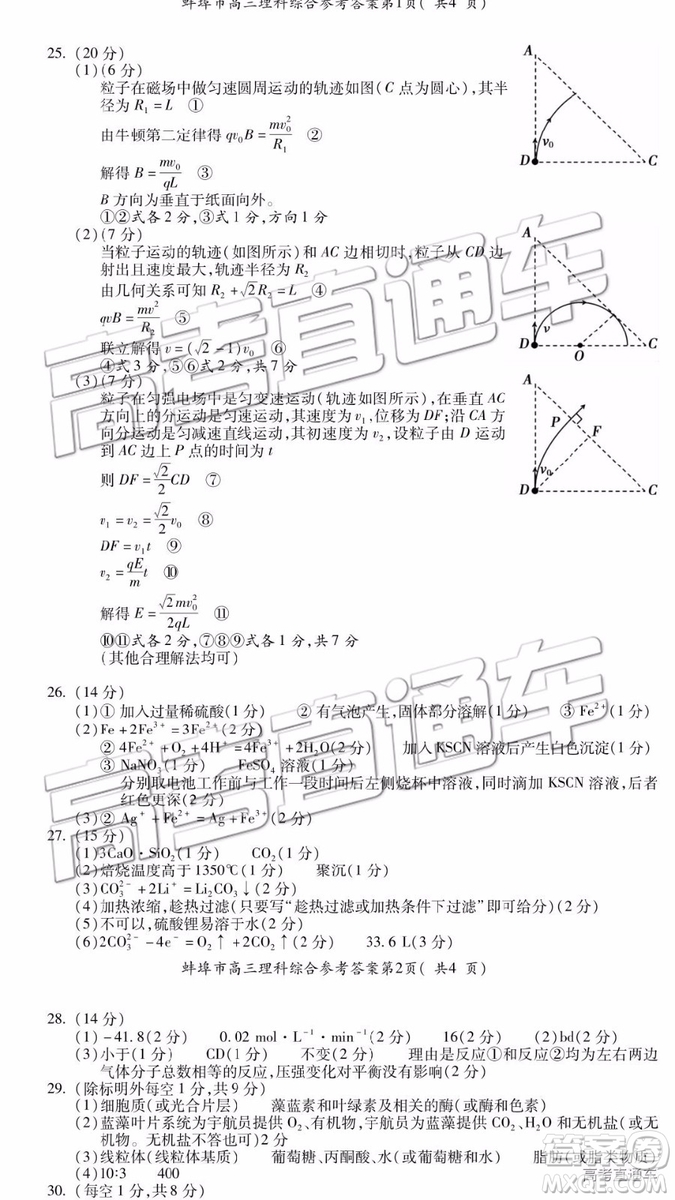 2019年蚌埠三檢理科綜合綜參考答案