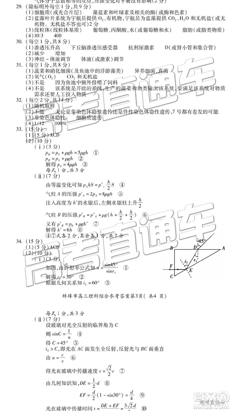 2019年蚌埠三檢理科綜合綜參考答案