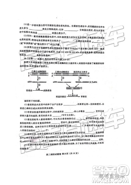 2019年河南高三第三次質量預測文理綜試題及參考答案