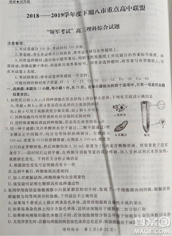 2019年5月河南省八市重點高中聯(lián)盟領(lǐng)軍考試理綜試題及答案