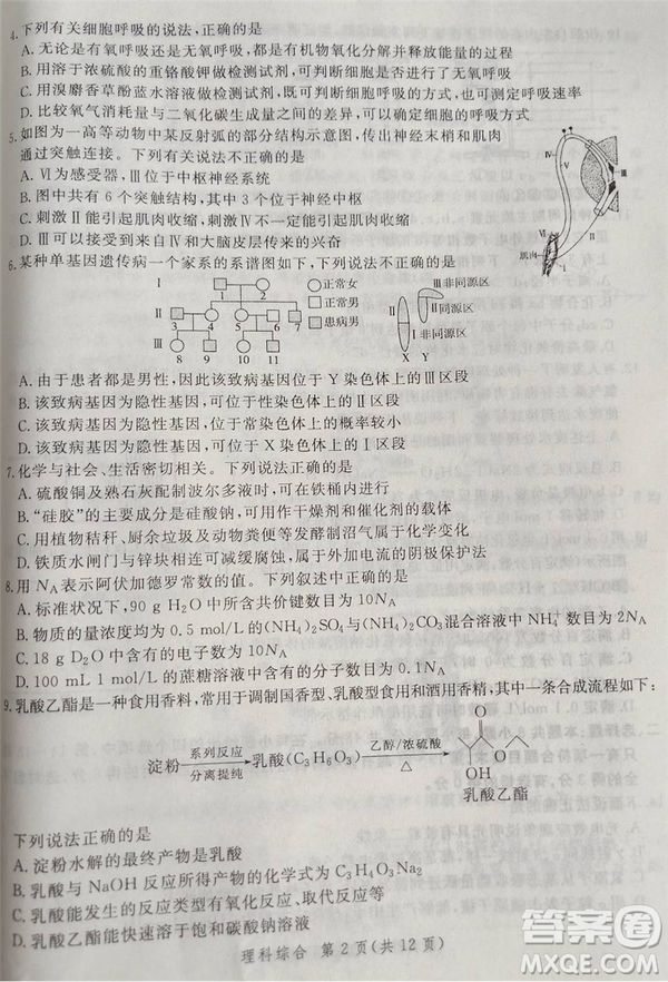 2019年5月河南省八市重點高中聯(lián)盟領(lǐng)軍考試理綜試題及答案