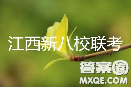 2019年江西省新八校第二次聯(lián)考文科數(shù)學(xué)試題及參考答案