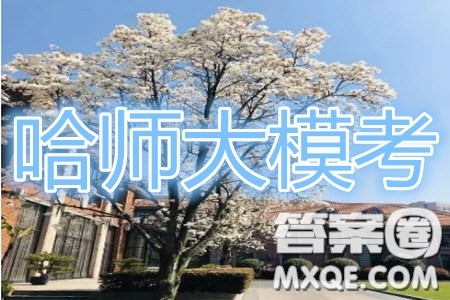 2019年哈師大附中三模文理數參考答案