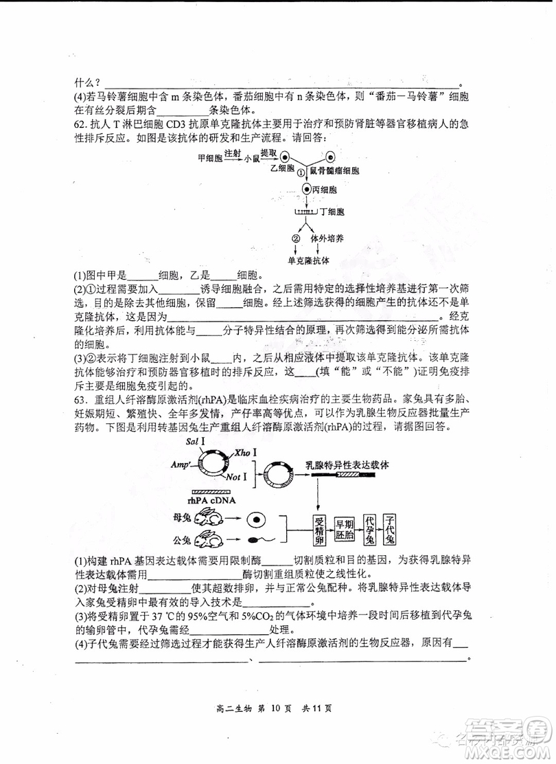 哈三中2018-2019學年度高二下學期第一學段考試理綜試卷及答案