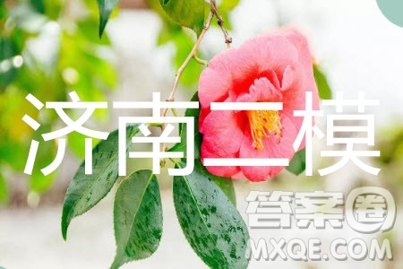 2019年濟南二模理科數(shù)學(xué)試題及參考答案