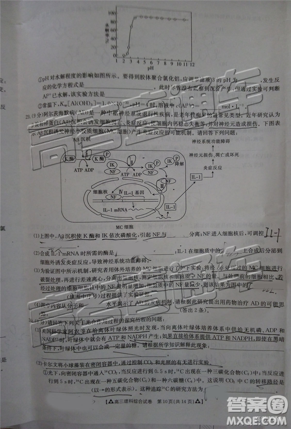 2019年廣東金太陽5月聯(lián)考文理綜試題及參考答案