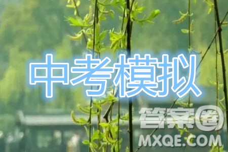 2019年廈門市初中畢業(yè)班教學(xué)質(zhì)量檢測數(shù)學(xué)試題及參考答案