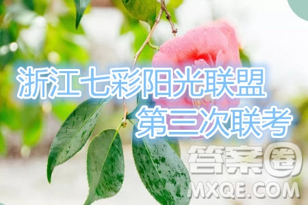 22019年浙江七彩陽光聯(lián)盟第三次聯(lián)考英語試題及參考答案