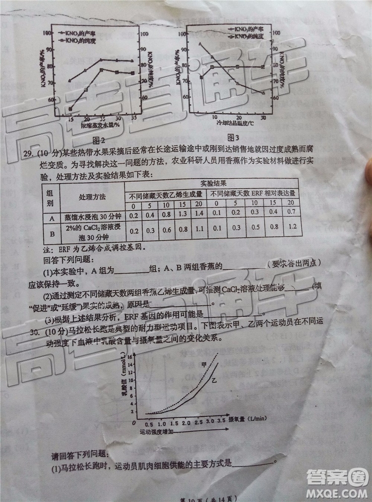 2019年葫蘆島市二模理綜試題及參考答案