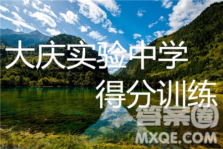 2019年大慶實(shí)驗(yàn)高三得分訓(xùn)練三理科數(shù)學(xué)試題及答案