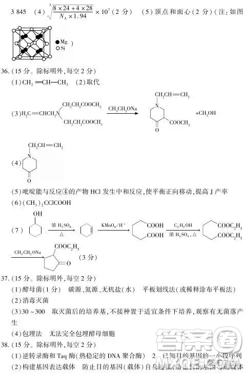 2019年豫科名校大聯(lián)考B卷高三理科綜合答案