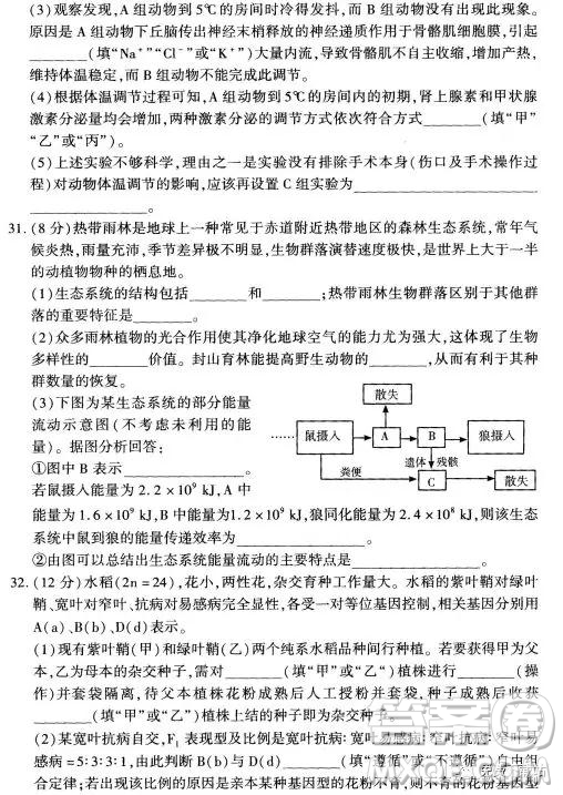 2019年豫科名校大聯(lián)考B卷高三理科綜合答案