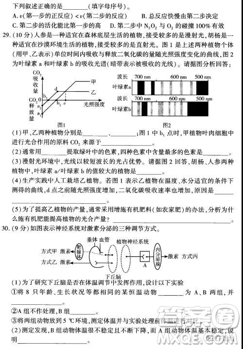 2019年豫科名校大聯(lián)考B卷高三理科綜合答案